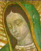 Sacred Head of Our Lady